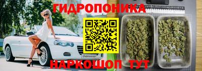 шишки Коммунар