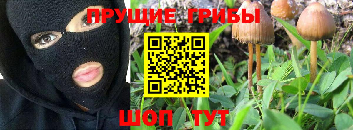 Калач-на-Дону  Псилоцибиновые грибы Cubensis  Вход с VPN  Псилоцибиновые грибы Cubensis 